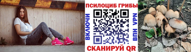 продажа наркотиков Емва Псилоцибиновые грибы прущие грибы